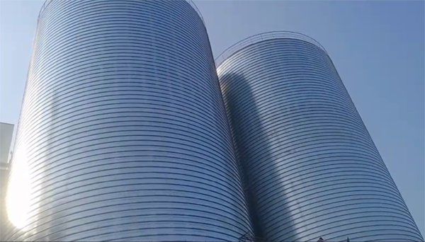 绥阳2座混凝土高架卷板仓